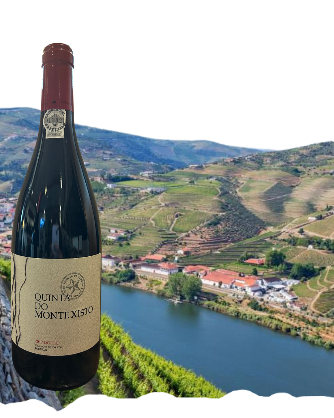 quinta do Monte Xisto vin portuguais superieur